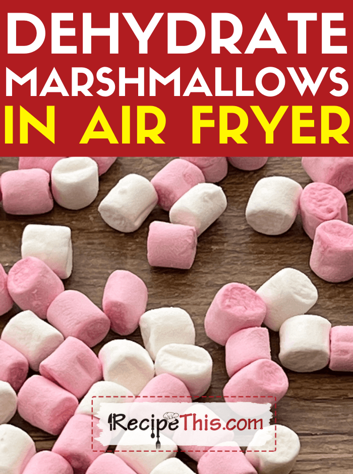 What Does Dehydrate Mean On A Air Fryer